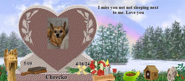 Cheecko's Rainbow Bridge Pet Loss Memorial Residency Image