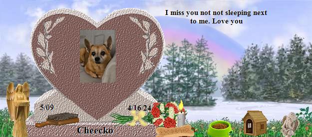 Cheecko's Rainbow Bridge Pet Loss Memorial Residency Image