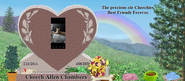 Cheech Allen Chambers's Rainbow Bridge Pet Loss Memorial Residency Image