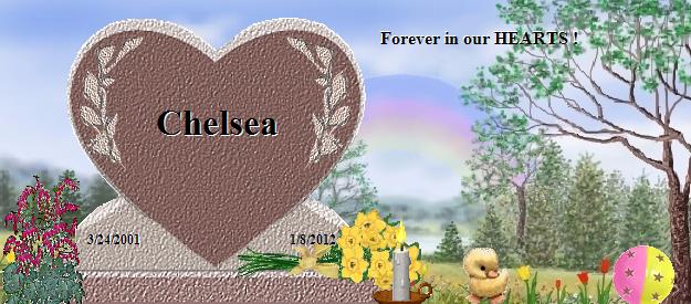 Chelsea's Rainbow Bridge Pet Loss Memorial Residency Image
