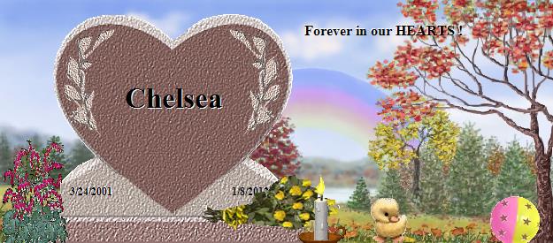 Chelsea's Rainbow Bridge Pet Loss Memorial Residency Image