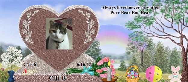 CHER's Rainbow Bridge Pet Loss Memorial Residency Image