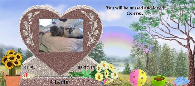 Cherie's Rainbow Bridge Pet Loss Memorial Residency Image
