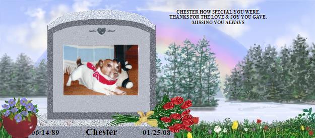 Chester's Rainbow Bridge Pet Loss Memorial Residency Image