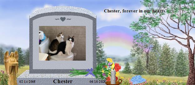 Chester's Rainbow Bridge Pet Loss Memorial Residency Image