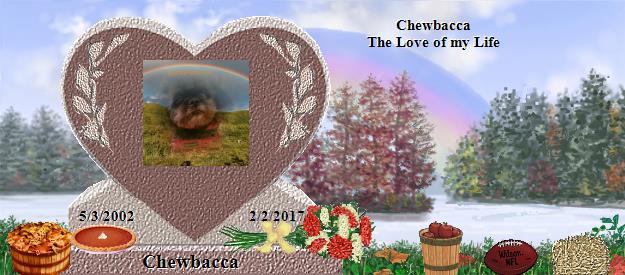 Chewbacca's Rainbow Bridge Pet Loss Memorial Residency Image