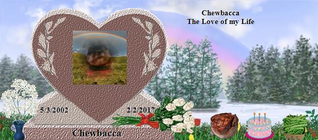 Chewbacca's Rainbow Bridge Pet Loss Memorial Residency Image