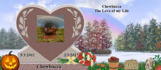 Chewbacca's Rainbow Bridge Pet Loss Memorial Residency Image