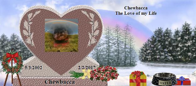 Chewbacca's Rainbow Bridge Pet Loss Memorial Residency Image