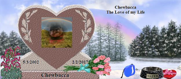 Chewbacca's Rainbow Bridge Pet Loss Memorial Residency Image