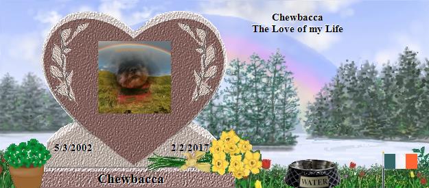 Chewbacca's Rainbow Bridge Pet Loss Memorial Residency Image