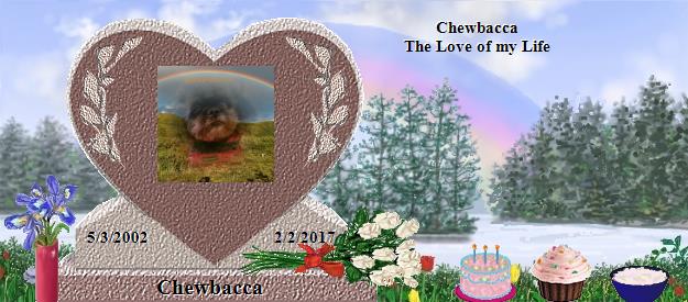 Chewbacca's Rainbow Bridge Pet Loss Memorial Residency Image