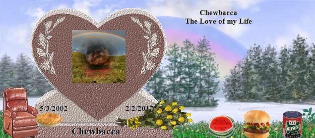 Chewbacca's Rainbow Bridge Pet Loss Memorial Residency Image