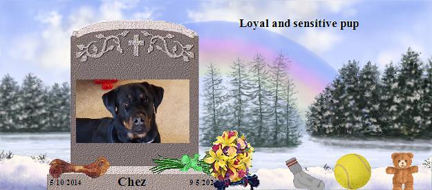 Chez's Rainbow Bridge Pet Loss Memorial Residency Image