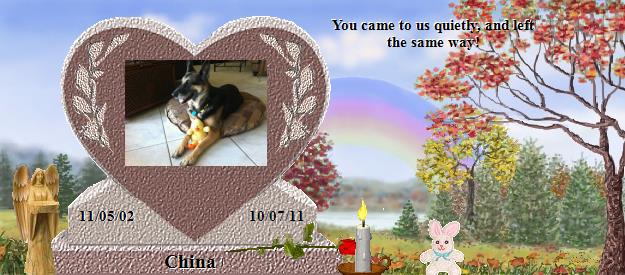 China's Rainbow Bridge Pet Loss Memorial Residency Image