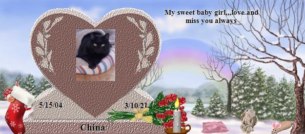 China's Rainbow Bridge Pet Loss Memorial Residency Image