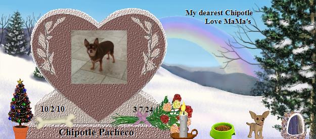 Chipotle Pacheco's Rainbow Bridge Pet Loss Memorial Residency Image