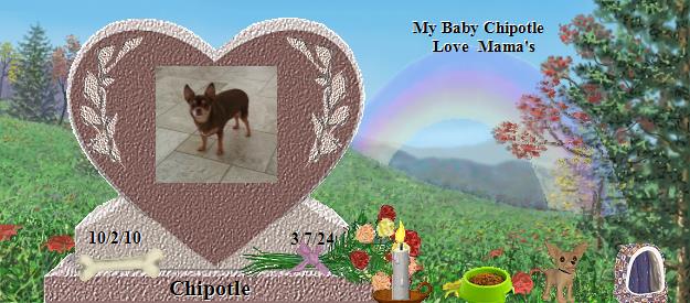 Chipotle's Rainbow Bridge Pet Loss Memorial Residency Image