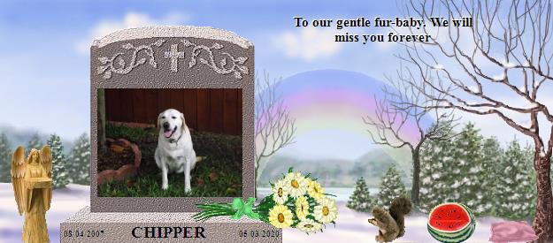 CHIPPER's Rainbow Bridge Pet Loss Memorial Residency Image