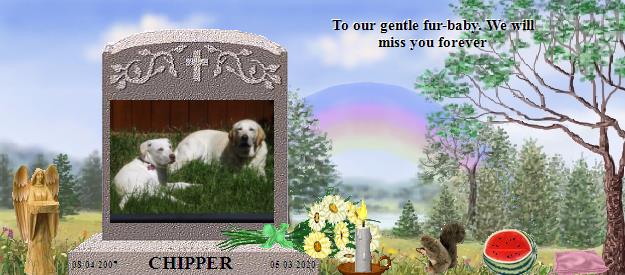 CHIPPER's Rainbow Bridge Pet Loss Memorial Residency Image