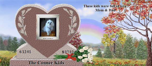 The Conner Kids's Rainbow Bridge Pet Loss Memorial Residency Image
