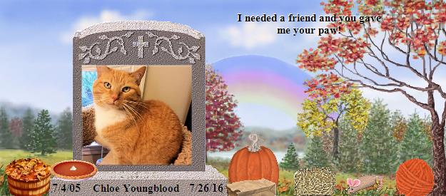 Chloe Youngblood's Rainbow Bridge Pet Loss Memorial Residency Image