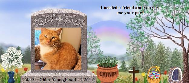 Chloe Youngblood's Rainbow Bridge Pet Loss Memorial Residency Image