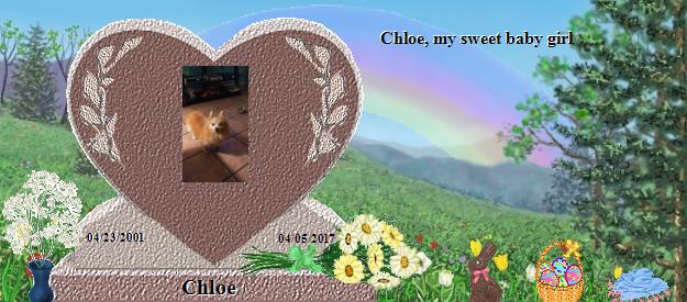 Chloe's Rainbow Bridge Pet Loss Memorial Residency Image