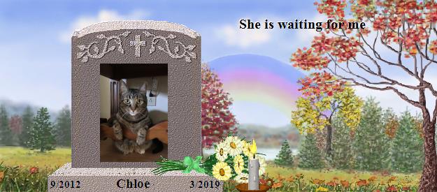 Chloe's Rainbow Bridge Pet Loss Memorial Residency Image