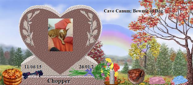 Chopper's Rainbow Bridge Pet Loss Memorial Residency Image