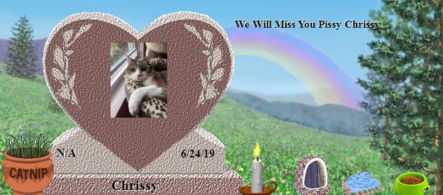 Chrissy's Rainbow Bridge Pet Loss Memorial Residency Image