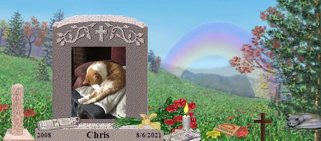 Chris's Rainbow Bridge Pet Loss Memorial Residency Image