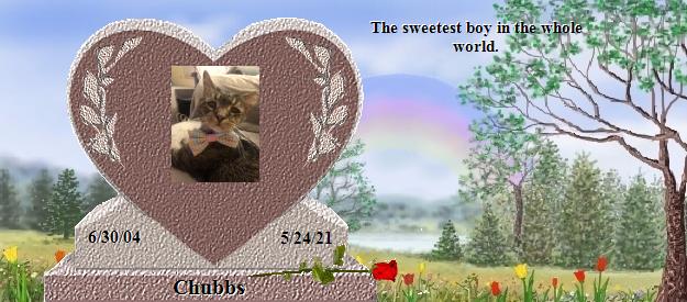 Chubbs's Rainbow Bridge Pet Loss Memorial Residency Image