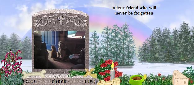 chuck's Rainbow Bridge Pet Loss Memorial Residency Image