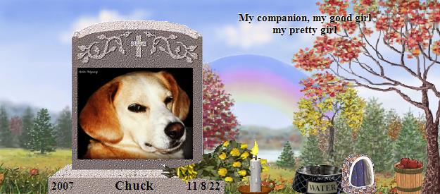 Chuck's Rainbow Bridge Pet Loss Memorial Residency Image