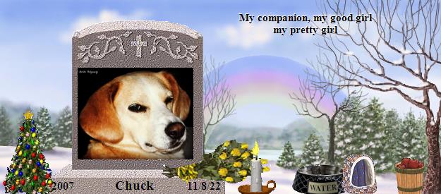 Chuck's Rainbow Bridge Pet Loss Memorial Residency Image