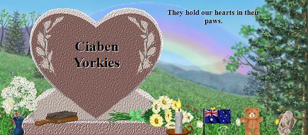 Ciaben Yorkies's Rainbow Bridge Pet Loss Memorial Residency Image