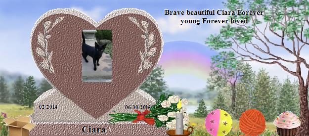 Ciara's Rainbow Bridge Pet Loss Memorial Residency Image