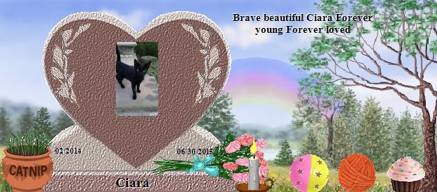 Ciara's Rainbow Bridge Pet Loss Memorial Residency Image