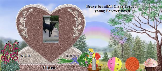 Ciara's Rainbow Bridge Pet Loss Memorial Residency Image