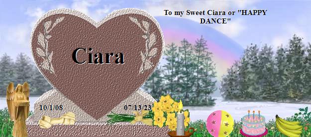 Ciara's Rainbow Bridge Pet Loss Memorial Residency Image