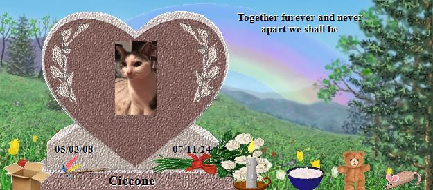 Ciccone's Rainbow Bridge Pet Loss Memorial Residency Image