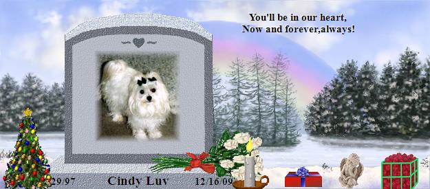 Cindy Luv's Rainbow Bridge Pet Loss Memorial Residency Image