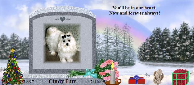Cindy Luv's Rainbow Bridge Pet Loss Memorial Residency Image