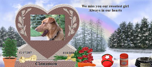 Cinnamon's Rainbow Bridge Pet Loss Memorial Residency Image