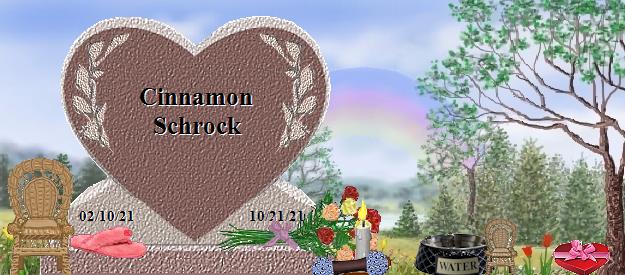 Cinnamon Schrock's Rainbow Bridge Pet Loss Memorial Residency Image