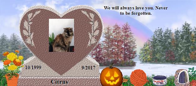 Citrus's Rainbow Bridge Pet Loss Memorial Residency Image