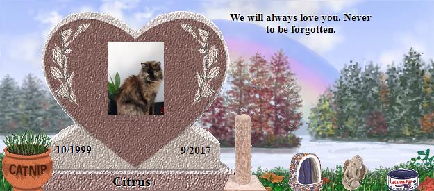 Citrus's Rainbow Bridge Pet Loss Memorial Residency Image