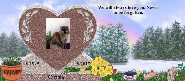 Citrus's Rainbow Bridge Pet Loss Memorial Residency Image