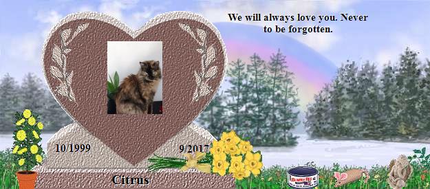 Citrus's Rainbow Bridge Pet Loss Memorial Residency Image